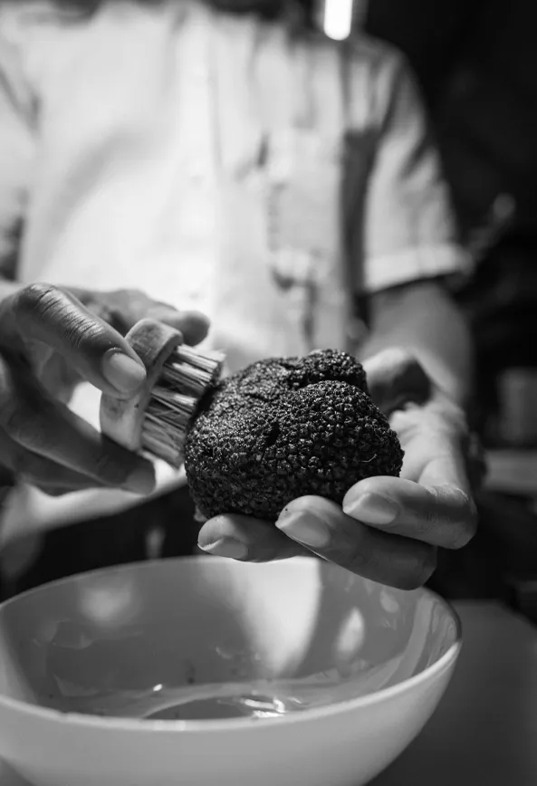 Préparation à la truffe